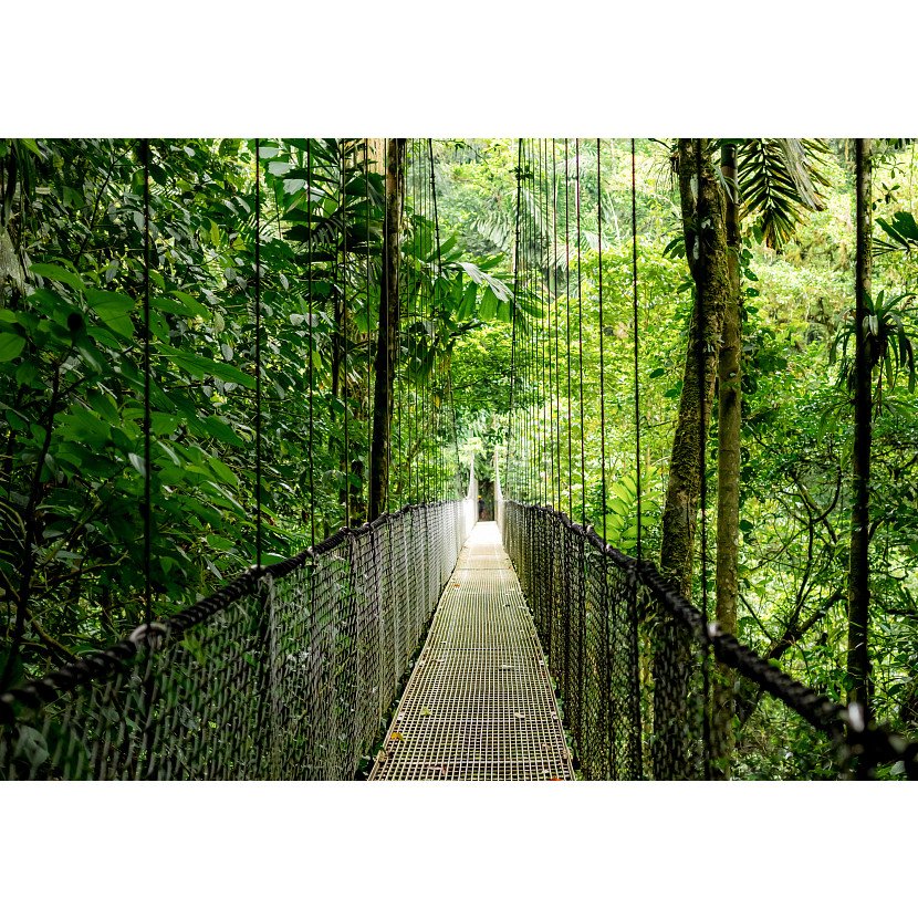 HP EliteBook 6 G1ah AMD Ryzen™ 5 220 Laptop 40.6 cm (16") WUXGA 16 GB DDR5-SDRAM 512 GB SSD Wi-Fi 7 (802.11be) Windows 11 Pro AI PC Silver - Image 6